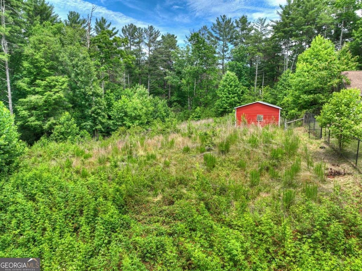 95 Laughing Bird Lane Ellijay - Photo 12