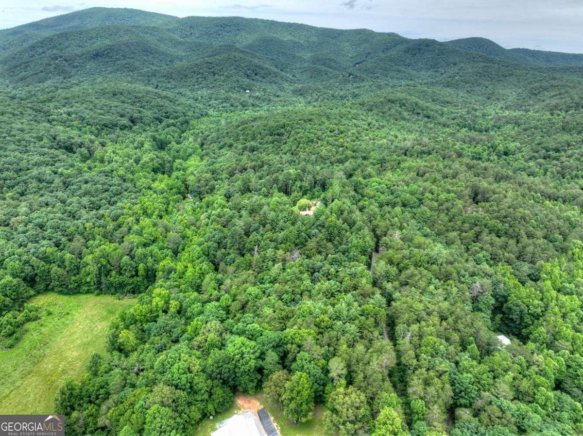 95 Laughing Bird Lane Ellijay - Photo 6