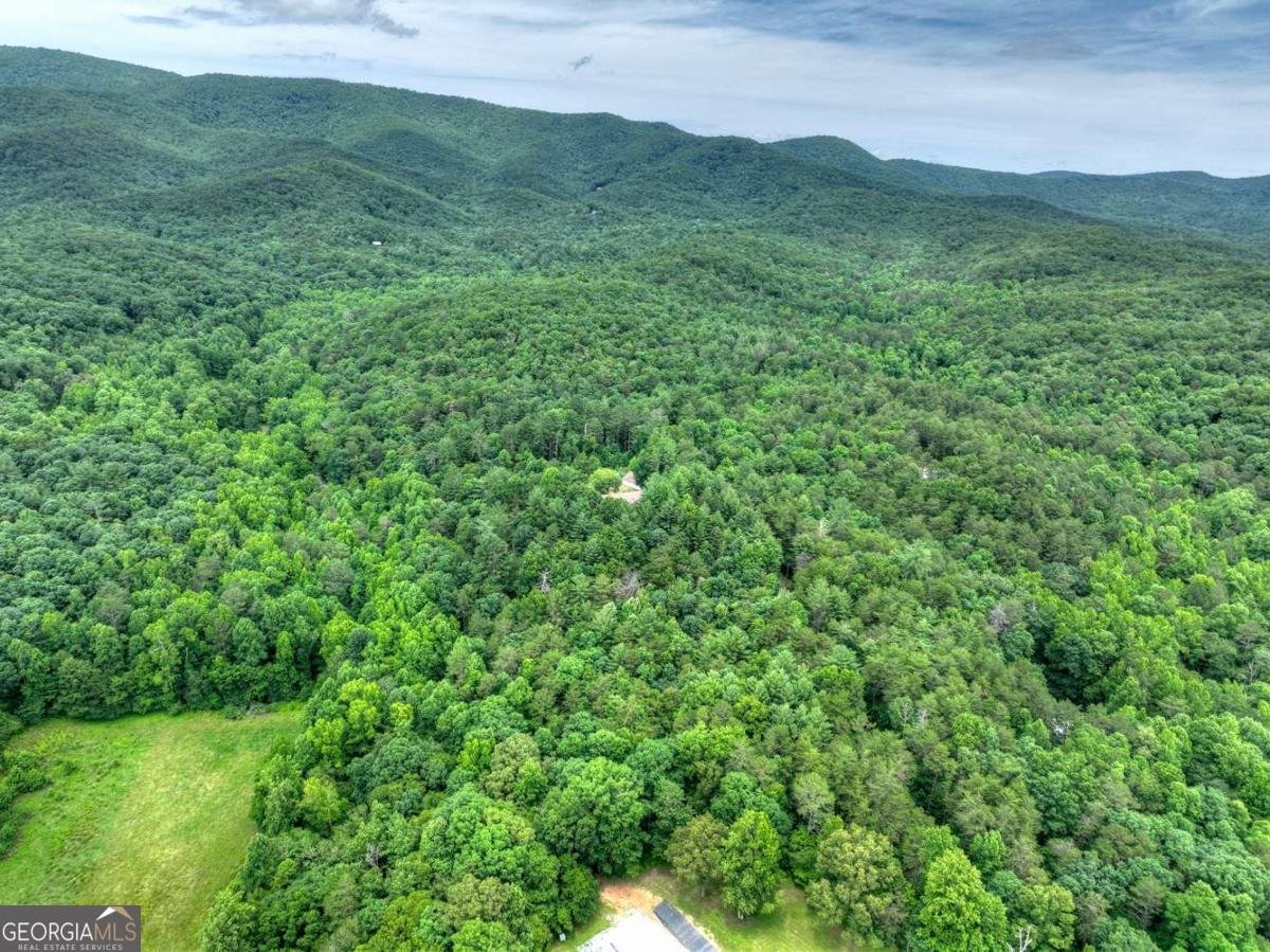 95 Laughing Bird Lane Ellijay - Photo 7