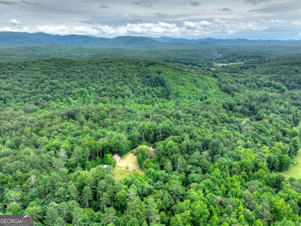 95 Laughing Bird Lane Ellijay - Photo 8