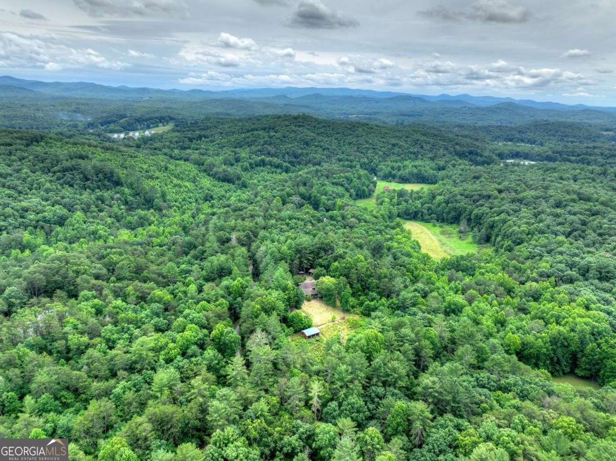 95 Laughing Bird Lane Ellijay - Photo 9
