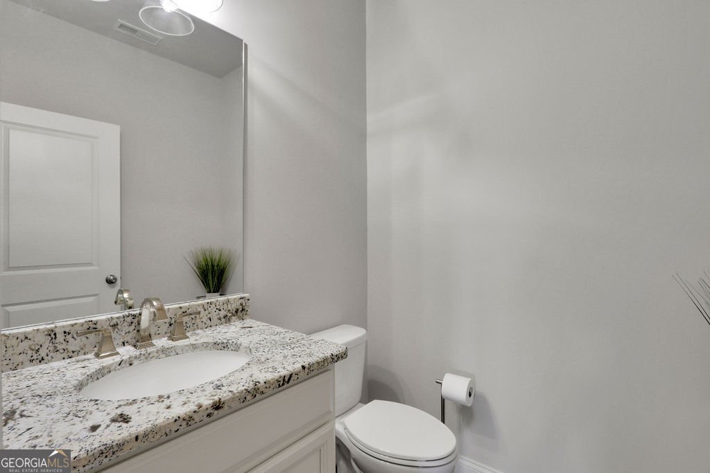 3848 Heirloom Loop Court Buford - Photo 30