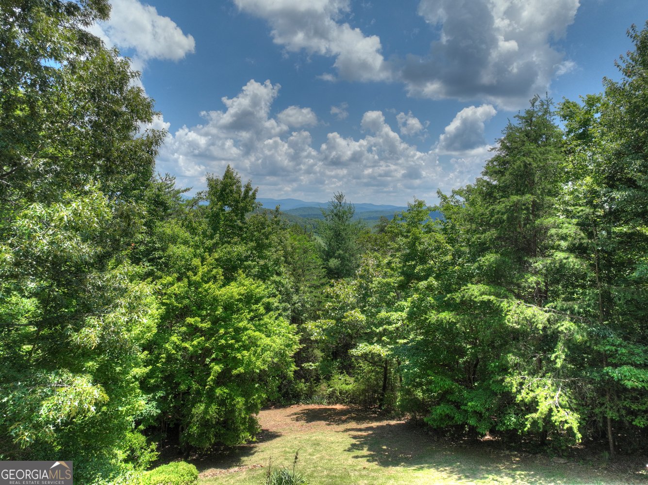 762 Pettit Ridge Road Ellijay - Photo 13