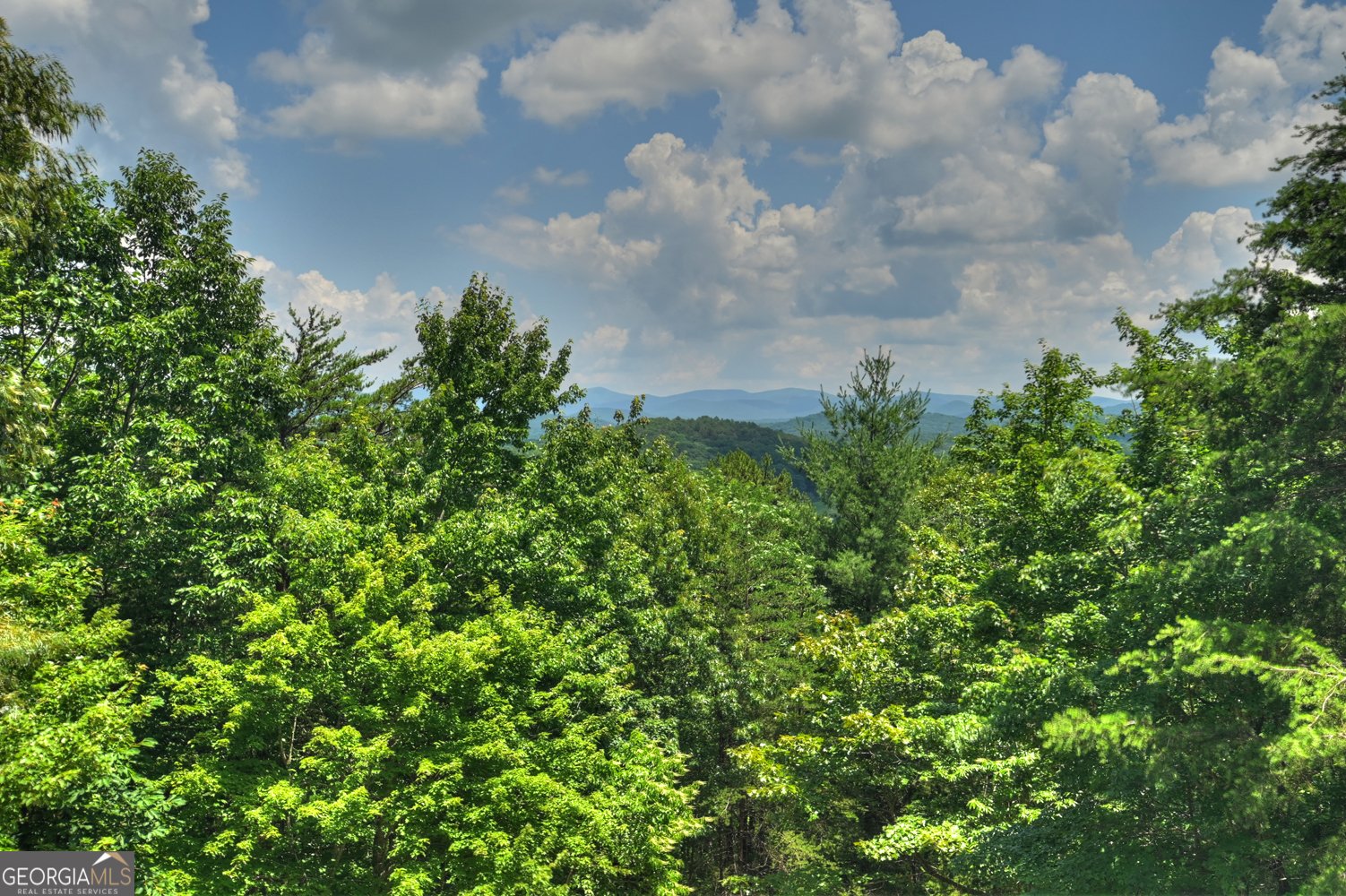 762 Pettit Ridge Road Ellijay - Photo 35