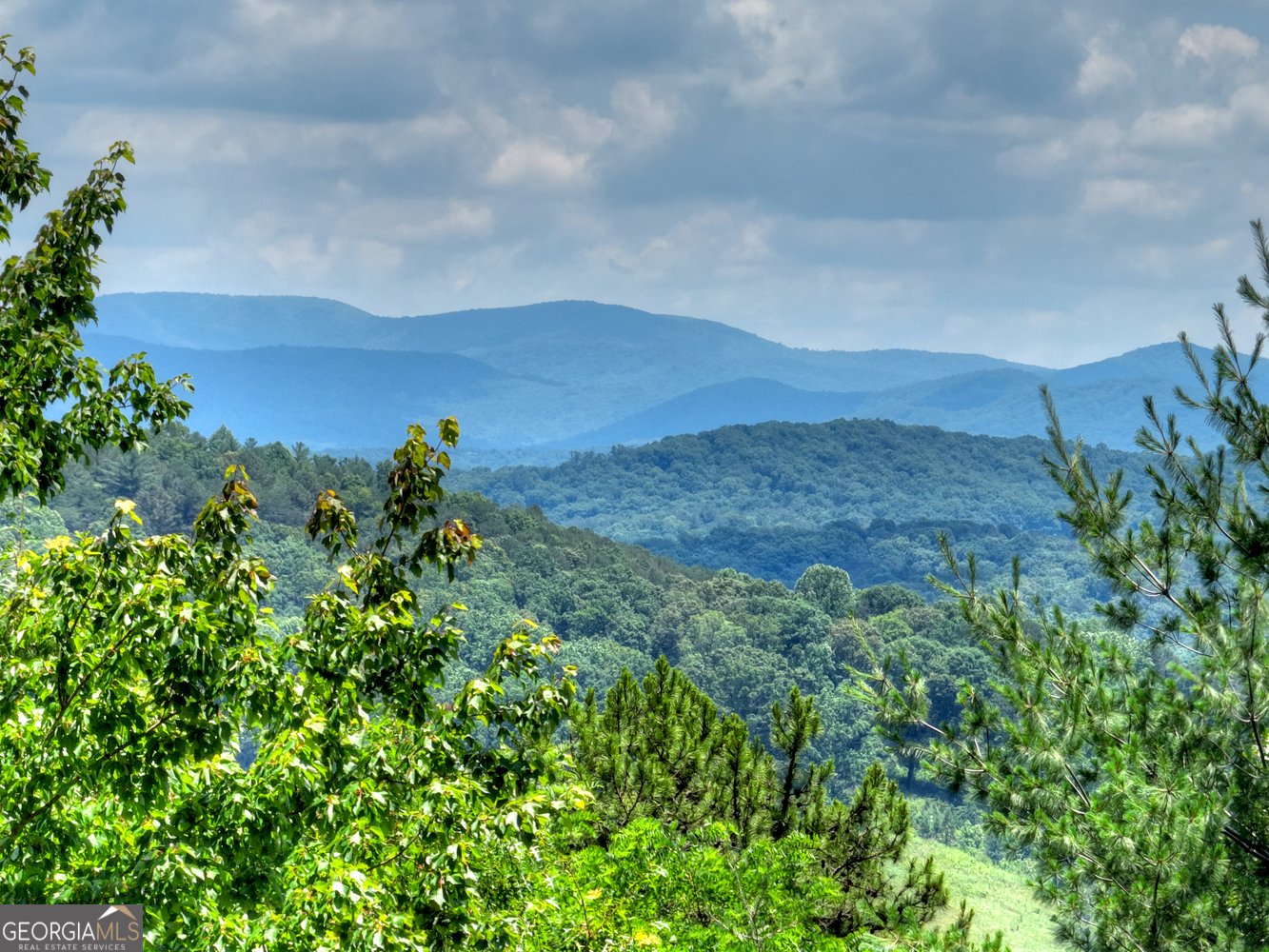 762 Pettit Ridge Road Ellijay - Photo 36