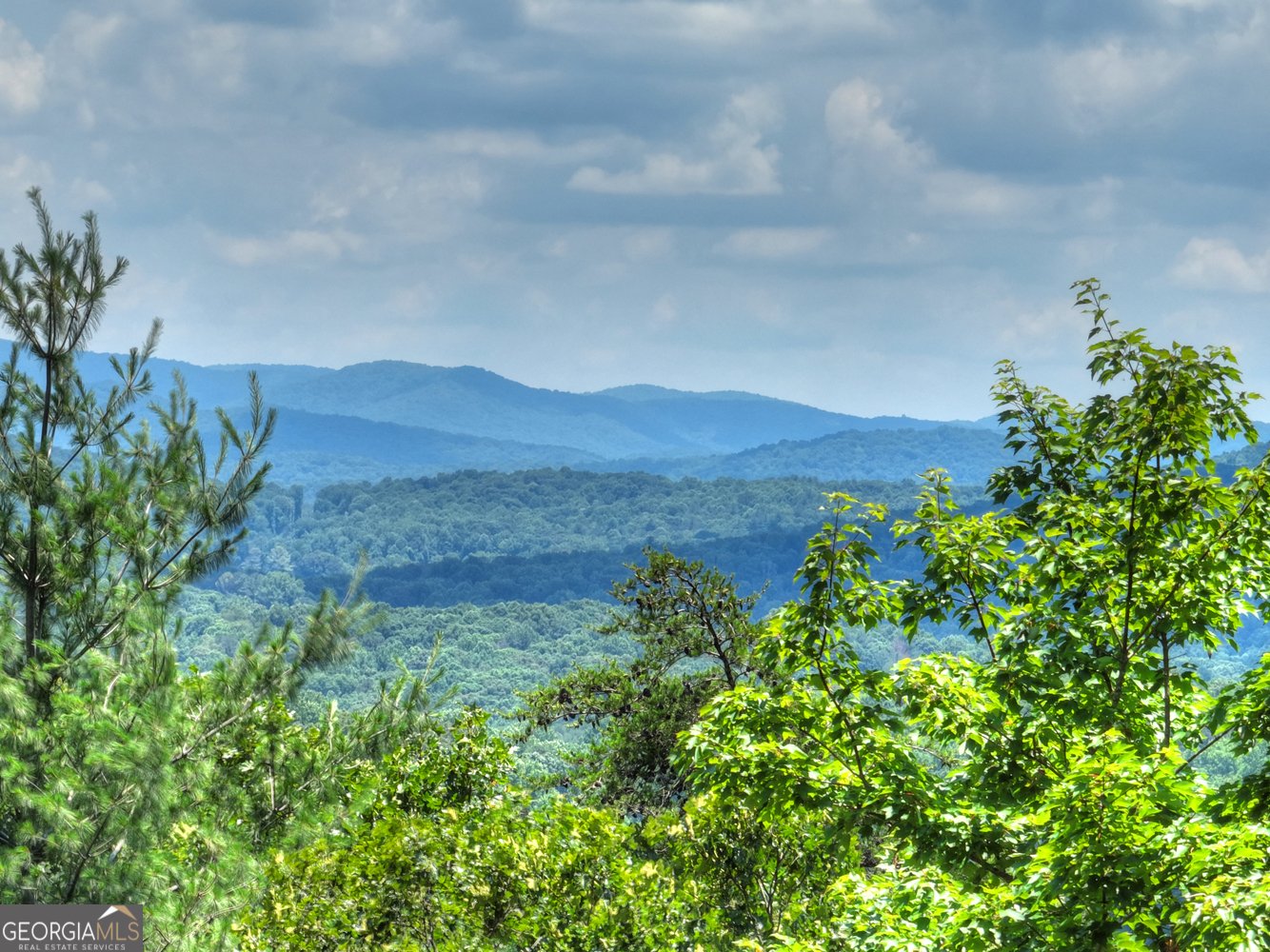 762 Pettit Ridge Road Ellijay - Photo 84