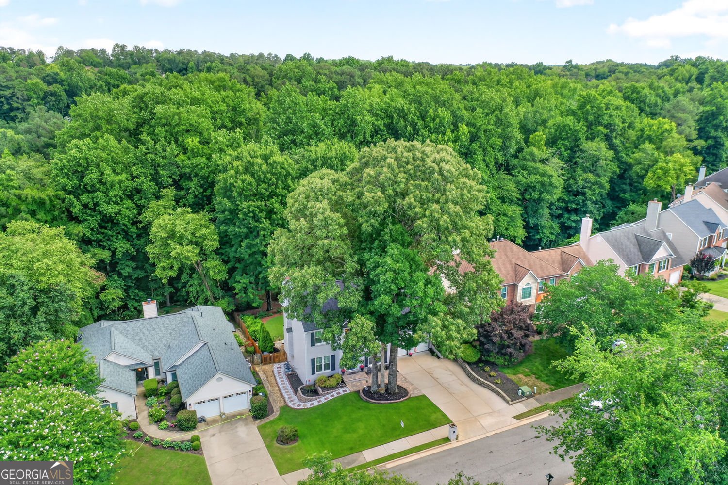 10680 Pinewalk Forest Circle Alpharetta - Photo 44
