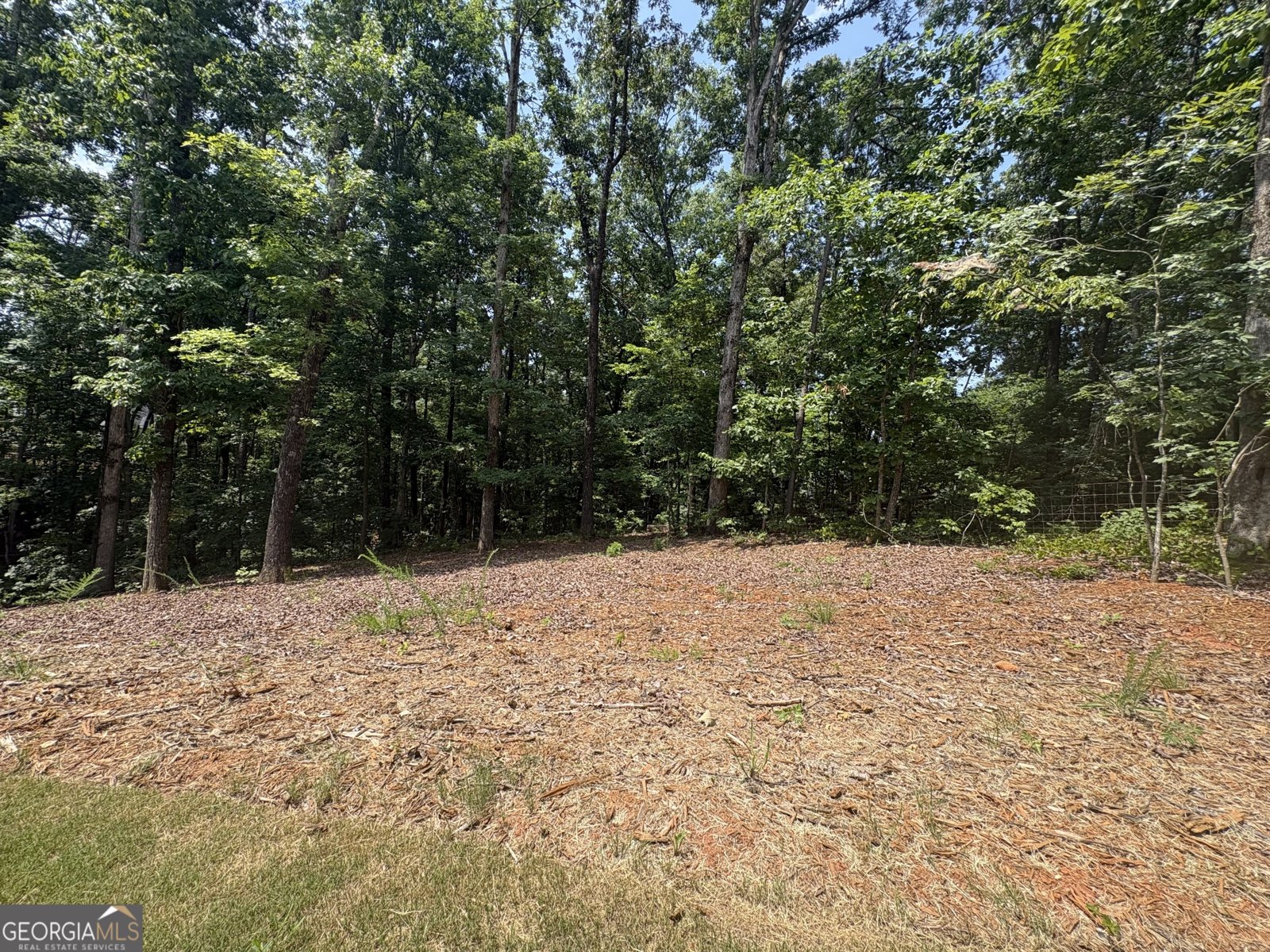 4762 Conns Creek Road Ball Ground - Photo 37