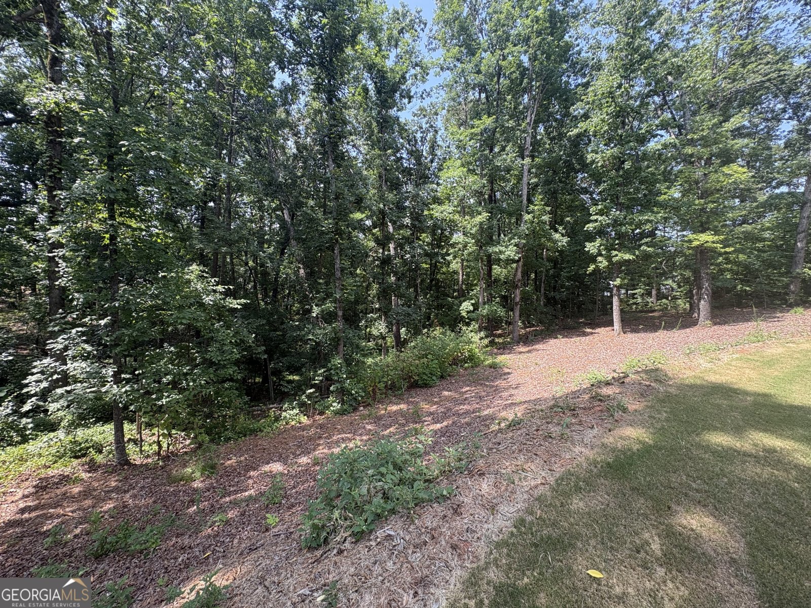 4762 Conns Creek Road Ball Ground - Photo 39