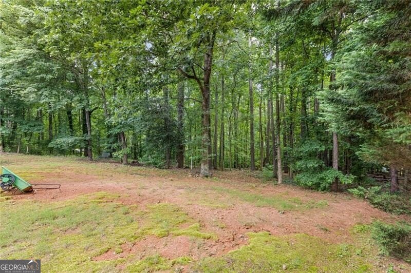 4265 Starr Creek Road Cumming - Photo 35