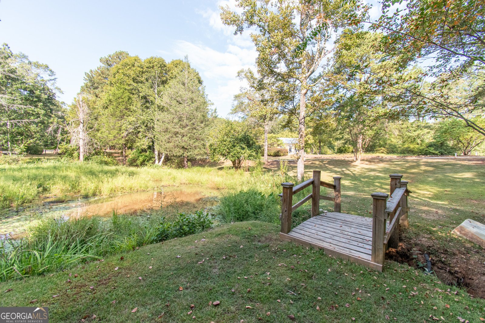 1651 Mergendollar Road Good Hope - Photo 95