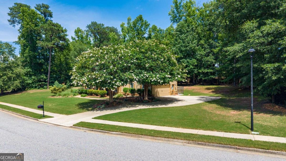 2103 Whitlow View Drive Bishop - Photo 39