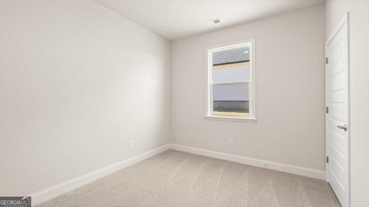 224 Parnassus Road Locust Grove - Photo 22