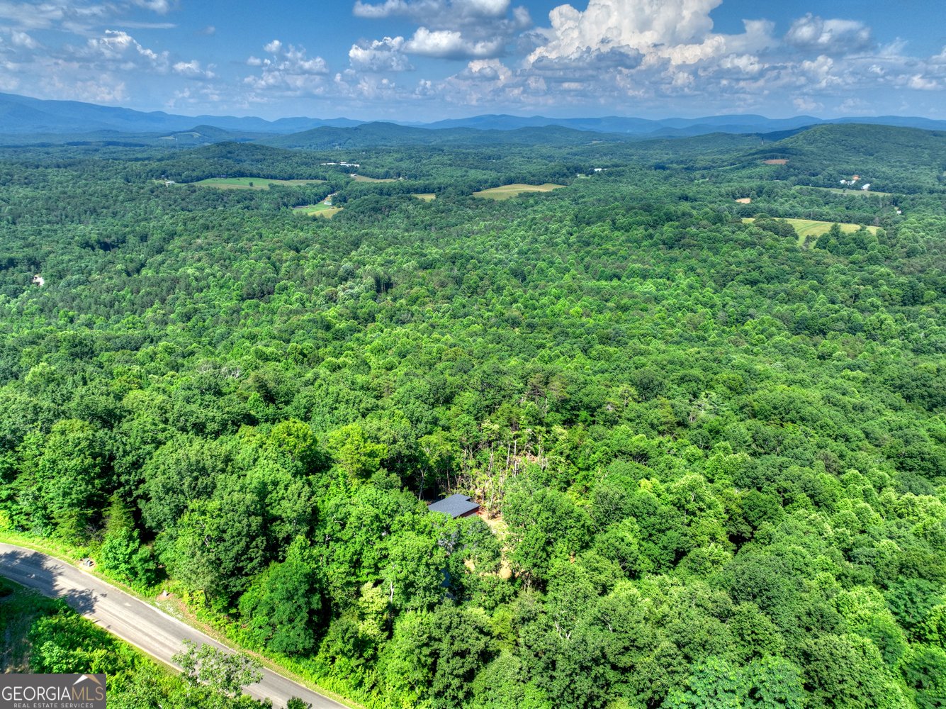 156 Sky High Drive Ellijay - Photo 33