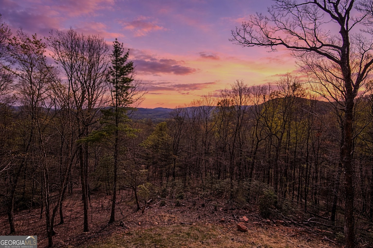156 Sky High Drive Ellijay - Photo 34