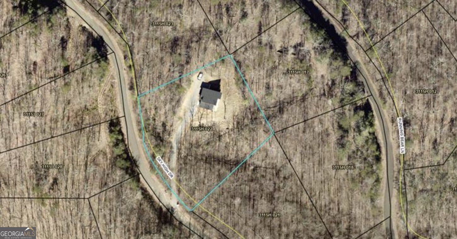 156 Sky High Drive Ellijay - Photo 52