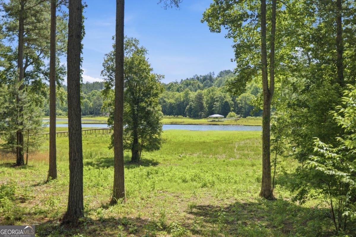 511 Sandy Lake Lane Blairsville - Photo 47