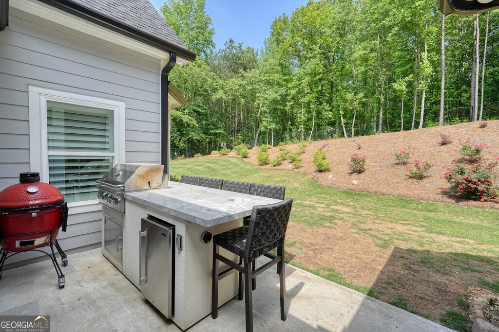540 Byrd Mountain Lane Canton - Photo 59