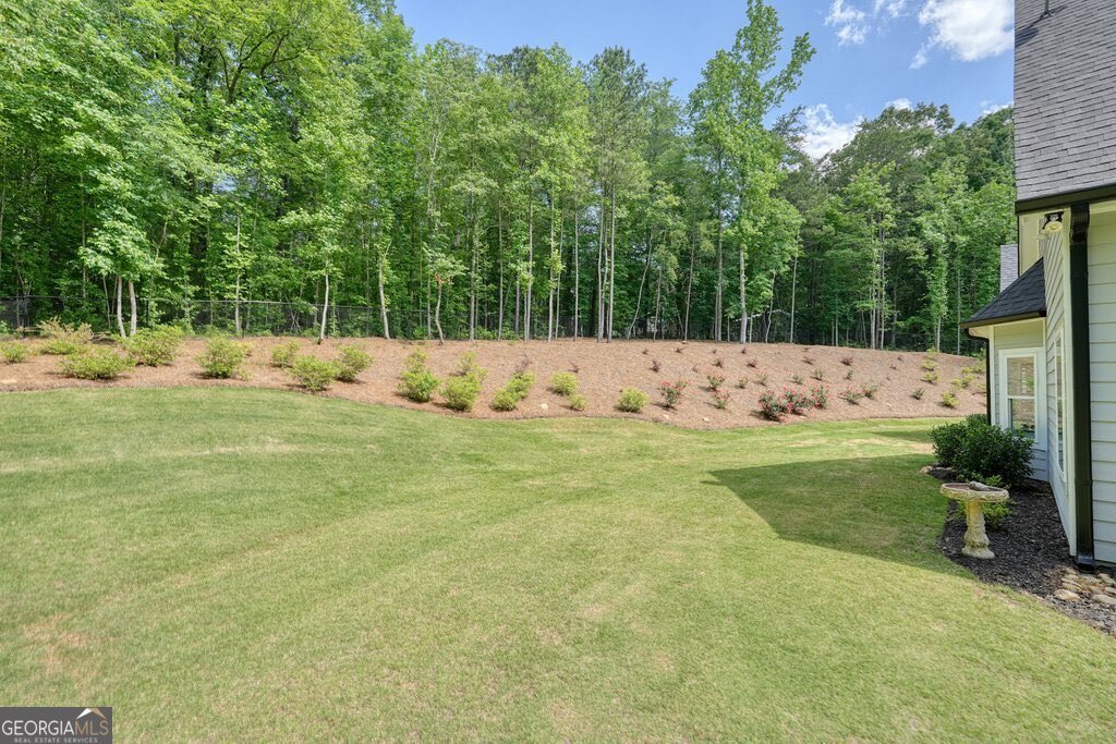 540 Byrd Mountain Lane Canton - Photo 63