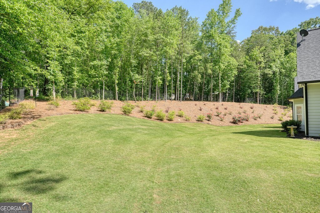 540 Byrd Mountain Lane Canton - Photo 66