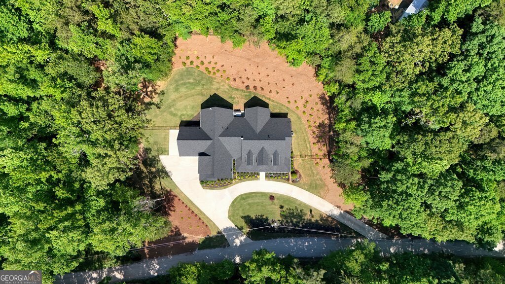 540 Byrd Mountain Lane Canton - Photo 69