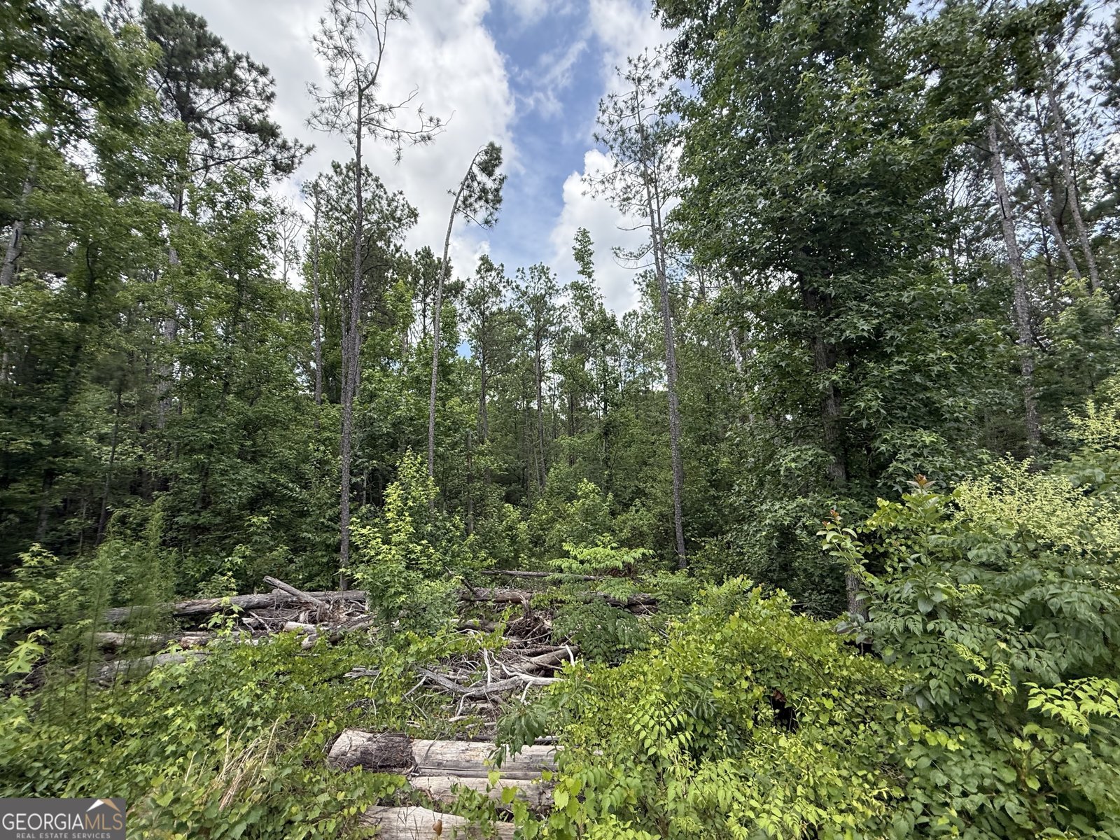 3879 White Oak Road Appling - Photo 26