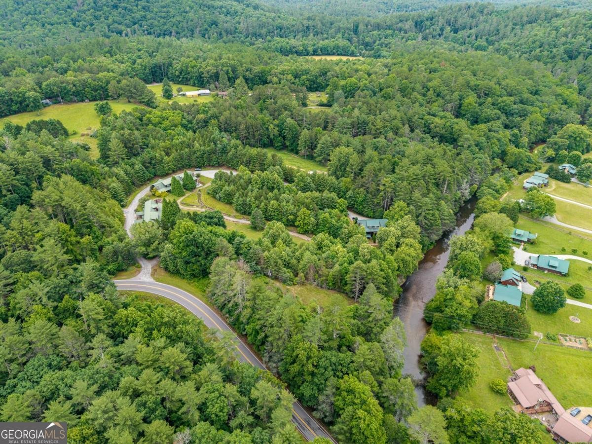 76 River Forest Place Suches - Photo 49