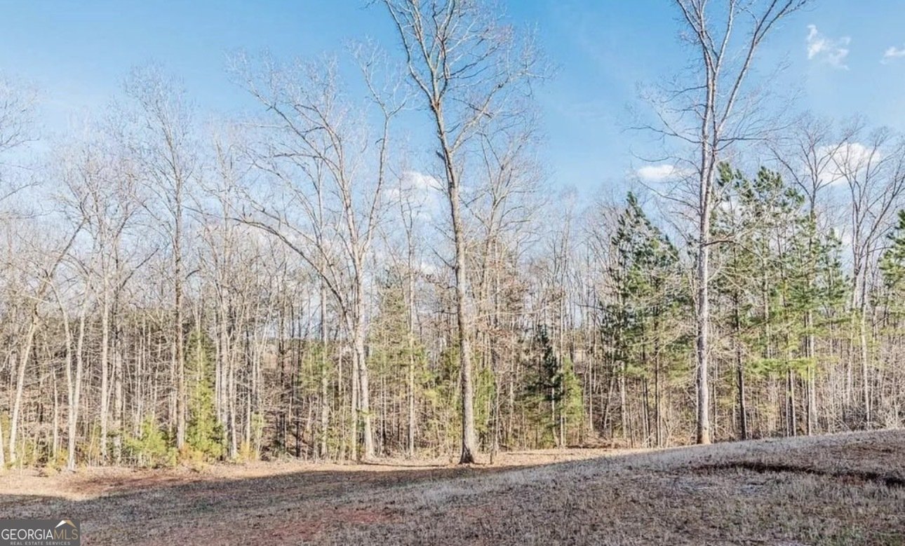 75 Creekside Court Forsyth - Photo 31