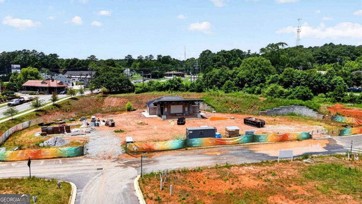 203 Grady Burrell Drive Holly Springs - Photo 44