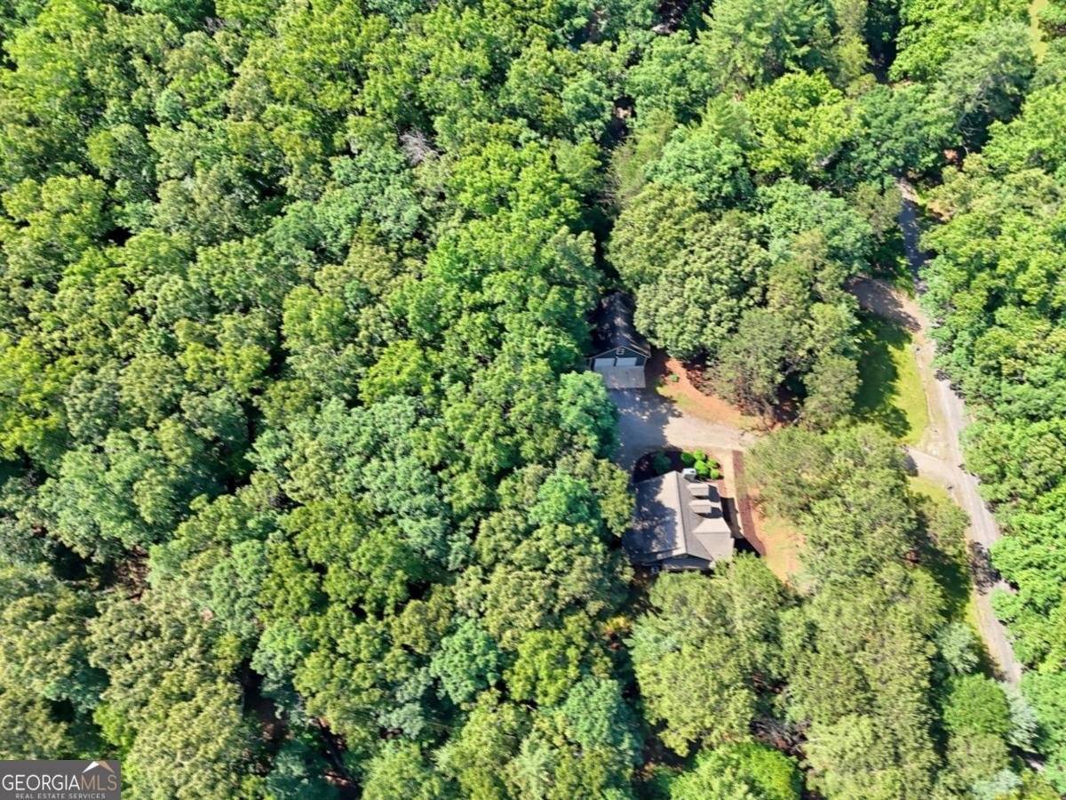 151 Wild Acres Road Blairsville - Photo 64