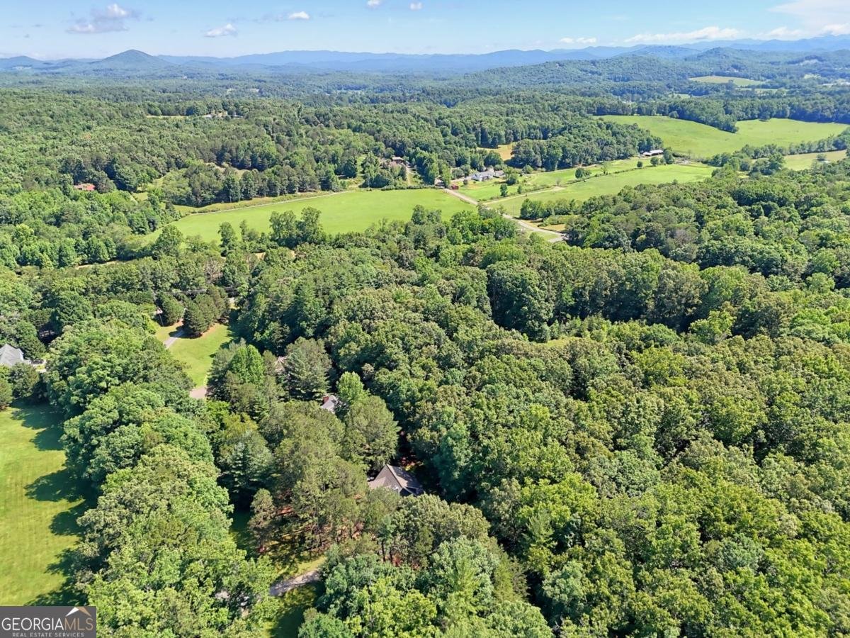 151 Wild Acres Road Blairsville - Photo 65