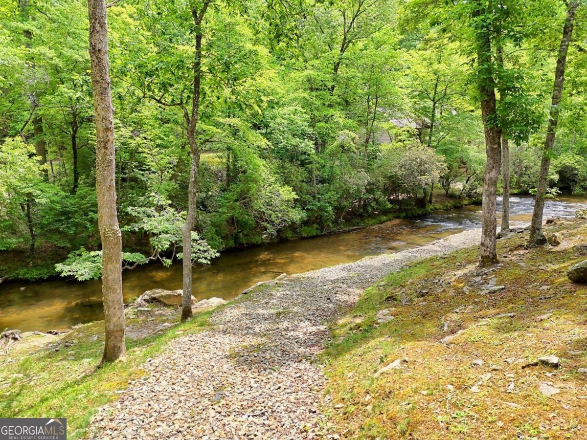 71 Chinquapin Place Blairsville - Photo 45