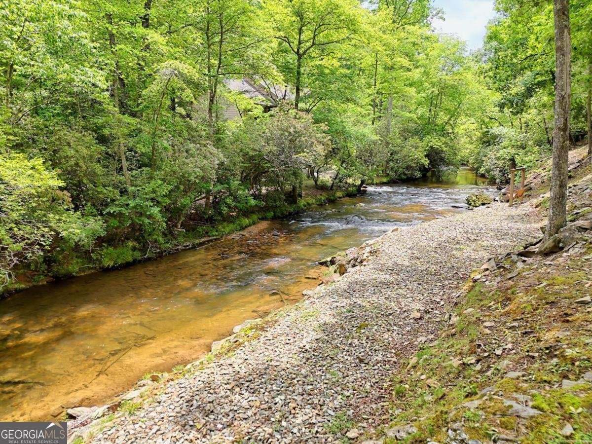 71 Chinquapin Place Blairsville - Photo 46