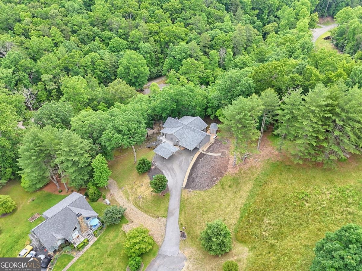 71 Chinquapin Place Blairsville - Photo 53