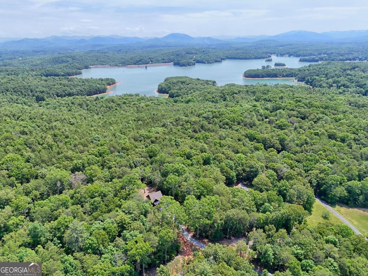 177 Poteete Creek Road Blairsville - Photo 47