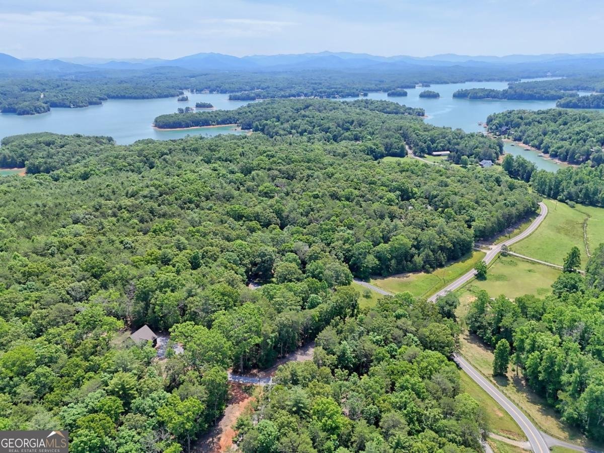 177 Poteete Creek Road Blairsville - Photo 48