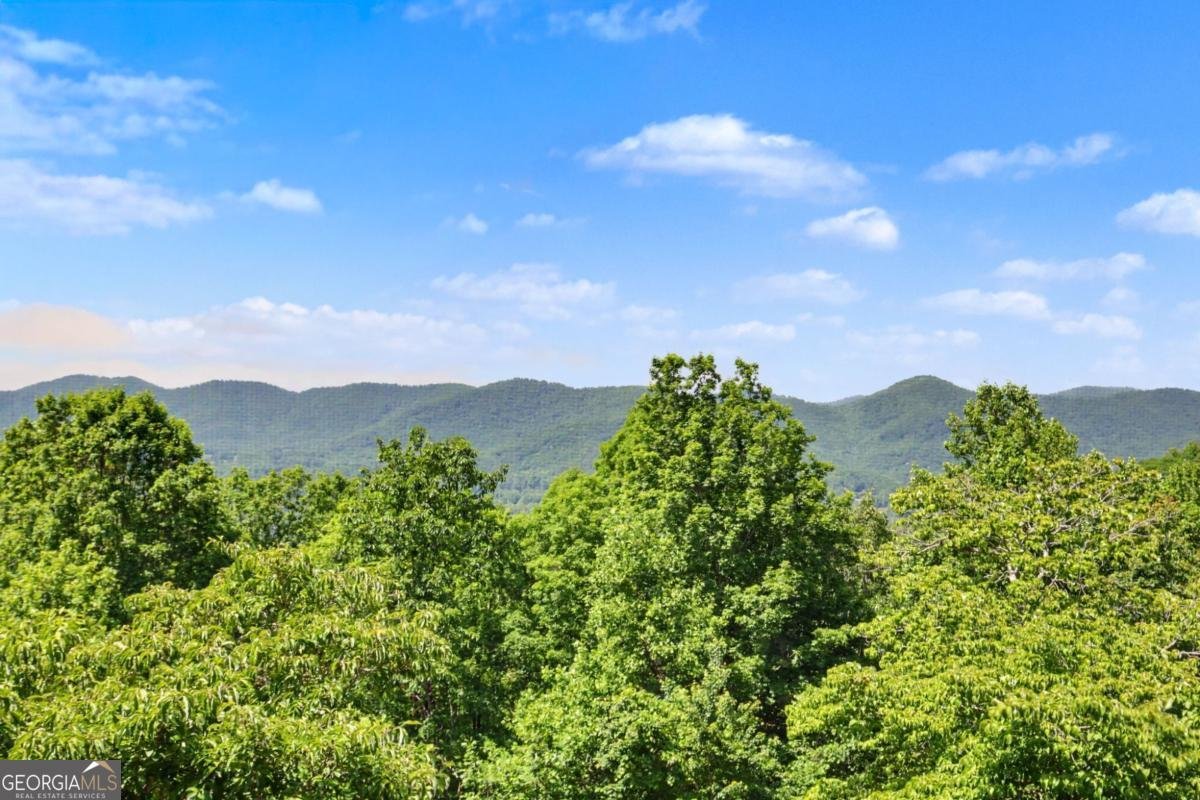 1157 Summit Way Blairsville - Photo 33