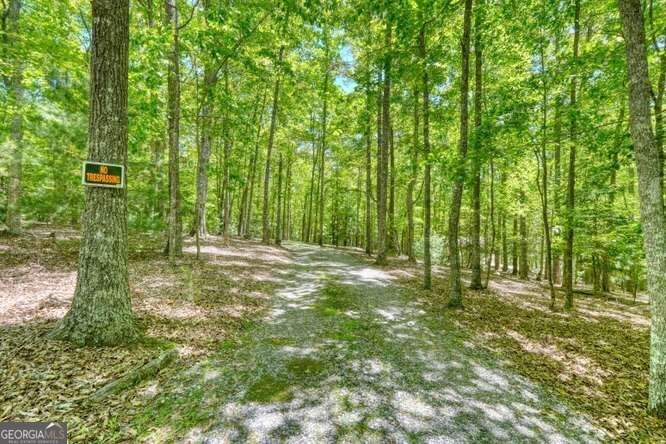 315 Darby Lane Blairsville - Photo 35