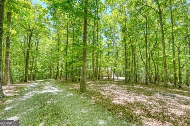315 Darby Lane Blairsville - Photo 36