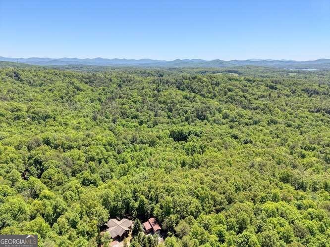 315 Darby Lane Blairsville - Photo 38