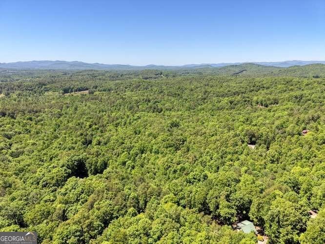 315 Darby Lane Blairsville - Photo 39