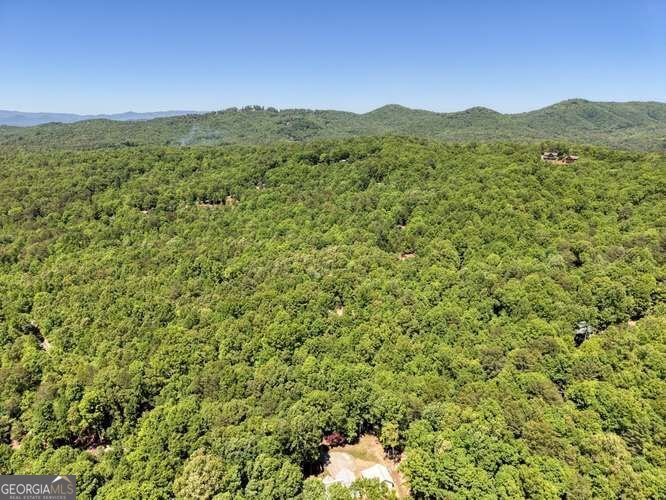 315 Darby Lane Blairsville - Photo 40