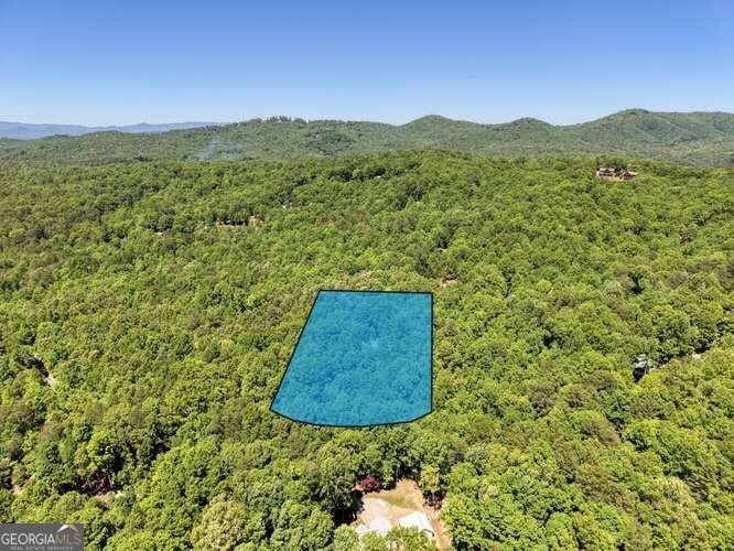 315 Darby Lane Blairsville - Photo 41