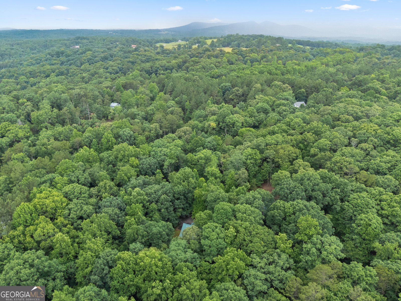 457 Old Cherokee Road Cleveland - Photo 59