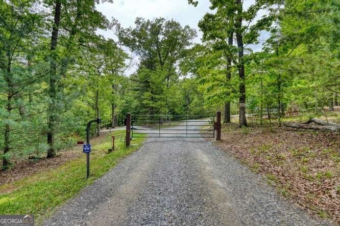 18 Canine Trail Blairsville - Photo 25
