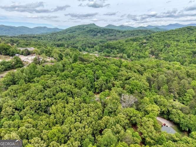 18 Canine Trail Blairsville - Photo 27