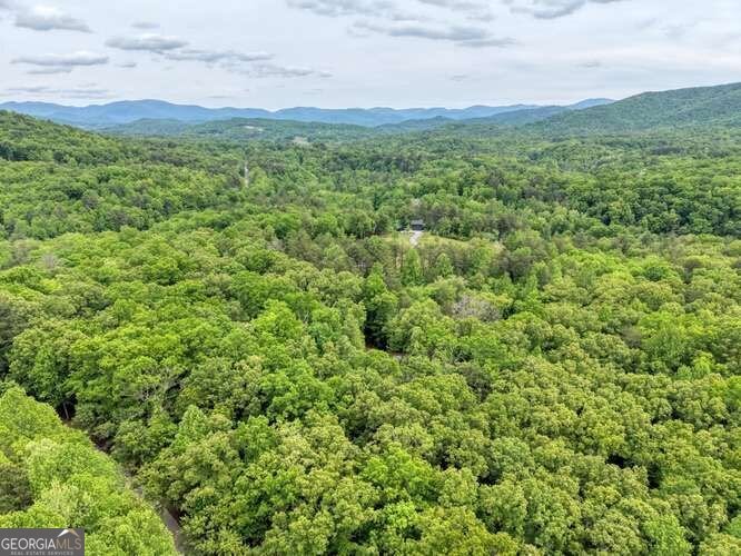 18 Canine Trail Blairsville - Photo 28