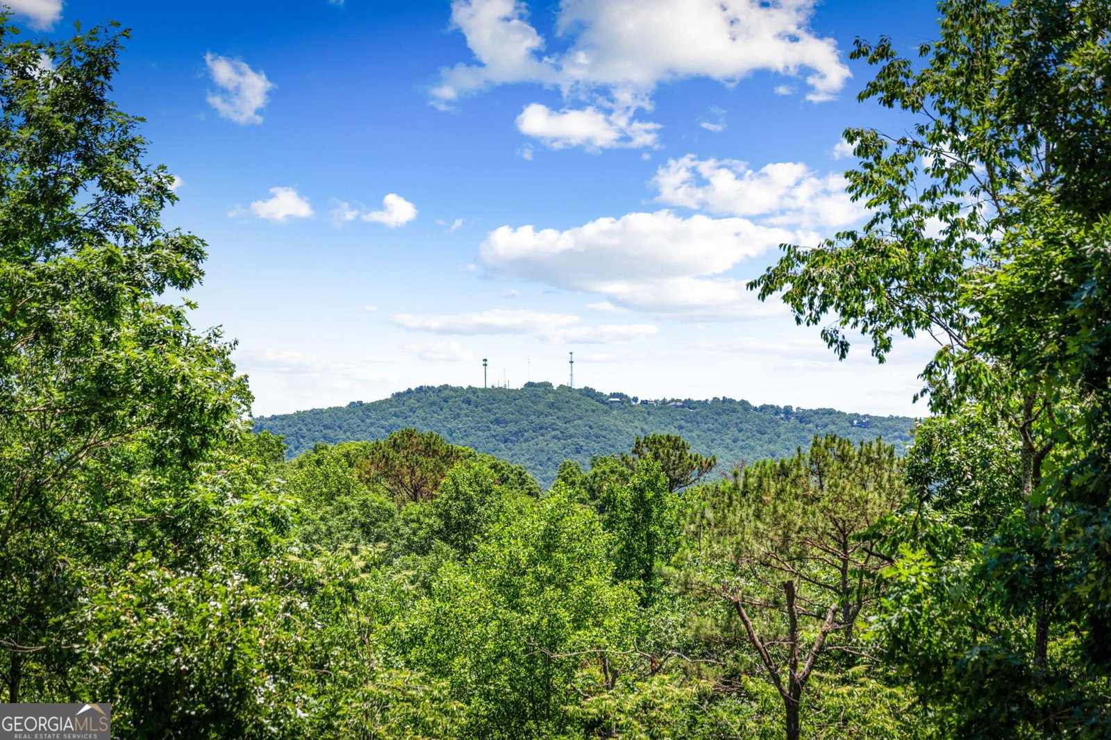 309 Elmwood Circle Ellijay - Photo 57