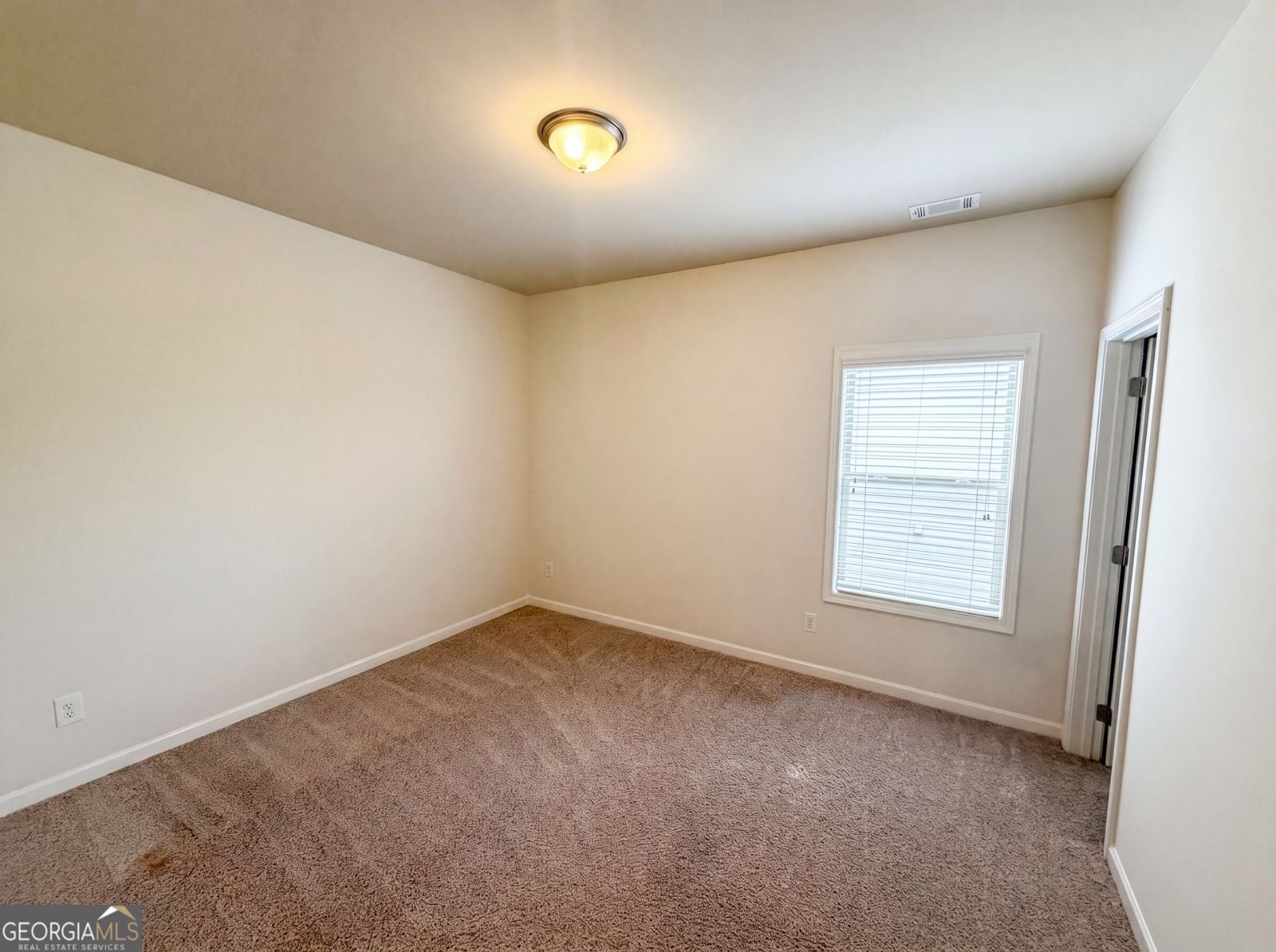 158 Mitchem Creek Drive Loganville - Photo 11