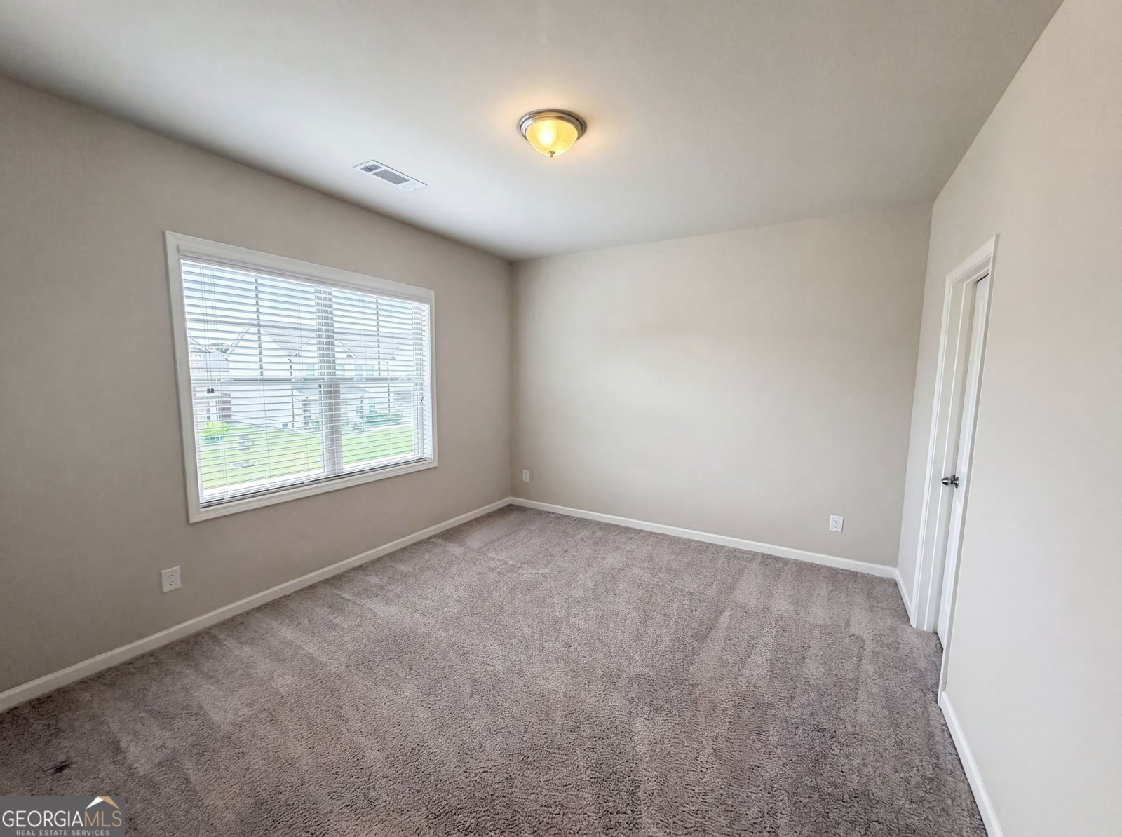 158 Mitchem Creek Drive Loganville - Photo 13